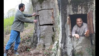 Koronavirüsten korunmak için ağaç kovuğuna girdi