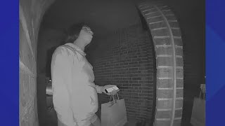 Woman pretends to be DoorDash delivery driver while suspects try to break into back of Spring house