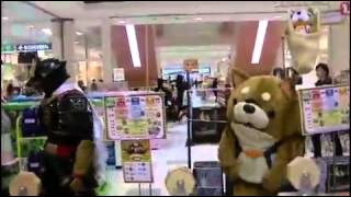 【20150104葛西・隼人＆武蔵コラボショー】やる気まんまんつんつん