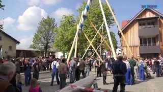 Maibaum 2014 aufstellen in Deisenhofen am 30.04.2014