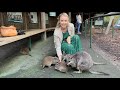 Animal Experiences at Cleland National Park, Adelaide, South Australia