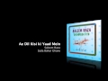 Download Ae Dil Kisi ki Yaad Mein Saleem Raza mp3