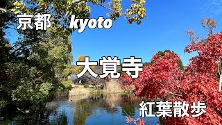 【大覚寺見どころ】大覚寺　大沢池　Daikakuji Temple/Osawa Pond/Kyoto/京都/嵯峨野/旅行/ 見どころ#京都紅葉#Kyotoautumnleaves