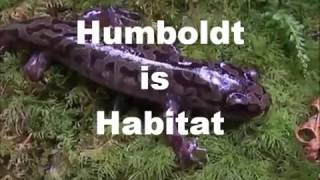 Humboldt is Habitat presented by Habitat Forever