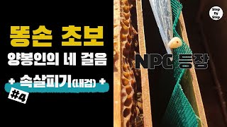 [#양봉] Step4.똥 손 초보 양봉인의 네 걸음 - 벌통 속살피기 완전 기초 초간단 설명