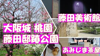 Osaka Castle Peach Garden, Fujita Museum of Art, Fujita Residence Site Park【Japan Osaka Outing vlog】