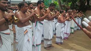 പഞ്ചാരി മേളം പതികാലം താമരംകുളങ്ങര മകരവിളക്ക് 2025