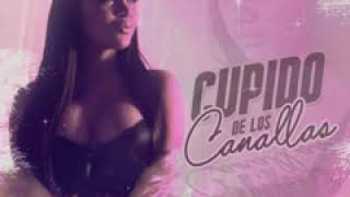 Cupido de los canallas -Anyuri misic