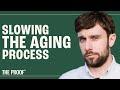 Can We Cure Aging?: Unpacking the Interventions | Andrew Steele, PhD | The Proof Podcast EP #262