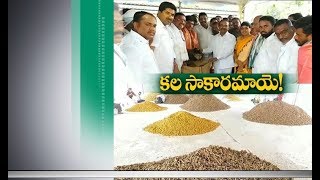 Jaikisan TS | 16th May 19' | కరీంనగర్: జమ్మికుంట వ్యవసాయ మార్కెట్‌లో జోరుగా పసుపుకొనుగోళ్లు