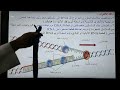 تضاعف دي ان ايه dna