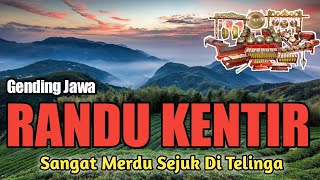 Gending Jawa Randu kentir paling gayeng dengan lantuanan gamelan yang sangat merdu sejuk di telinga