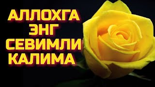 БУ ЗИКРНИ ҲАР КУНИ ЭРТАЛАБ ВА КЕЧҚУРУН 100 МАРТАДАН АЙТИНГ ☝/АЛЛОҲГА ЭНГ СЕВИМЛИ КАЛИМА