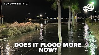 Sea level rise and frequent tides: understanding Charleston's increasing coastal flooding