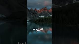 لا إله إلا الله #اكسبلور #دويتو #duet #يارب #دعاء