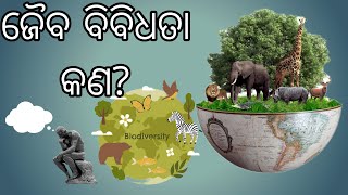 ଓଡ଼ିଆରେ ଜୈବ ବିବିଧତା ବିଷୟରେ | environmental studies | #biodiversity | Jaiba bibidhata odia |  gapinfo