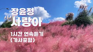 장윤정 사랑아 - 사랑아 1시간 연속듣기