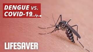 Dengue vs. COVID-19: Symptoms, Treatment, and Prevention | LIFESAVER