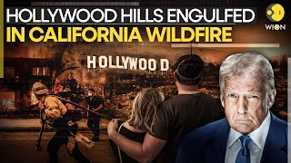 California Wildfire 2025 LIVE: Trump Slams Democrats As Wildfires Rages Over Los Angeles | WION