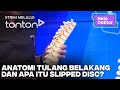 [CLIP] Helo Doktor (25 Aug 2024): Anatomi Tulang Belakang Dan Apakah Itu Slipped Disc | Tonton