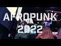 afropunk 2022 recap