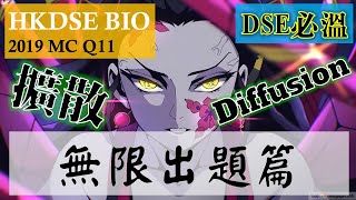 DSE Bio │ HKDSE 2019 MC Q11 │ diffusion 擴散 │ Faith Education {雙語Bilingual}