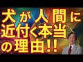 武田鉄矢 今朝の三枚おろし 📺 犬が人間に近づく本当の理由！99％の人が知らない犬の習性！ 📺 今朝の三枚おろし ラジオ 【レビューブックと研究】