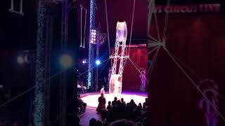 Zippos Christmas Circus Live 2018