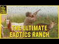 The ULTIMATE Exotics Ranch