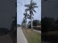 following the tamiami trail back roads and trails to punta gorda biketour