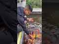 Shreyas Iyer new video feeding the fishes😁😟#shreyasiyer #love