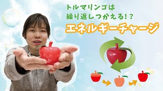 🍎とってもお得なサービス！お気に入りのトルマリンゴをリフレッシュ！トルマリンゴのエネルギーチャージについてのご紹介