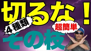 カッコいい植木に　切ってはいけない【４種類】の枝