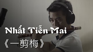 NHẤT TIỄN MAI 《一剪梅》 Dizi Cover