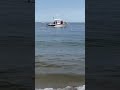 watch as shark swims off cape cod shore within 10 feet of race point beach in provincetown