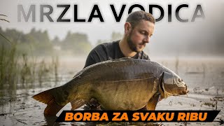 Šaranski ribolov u carstvu trave | MRZLA VODICA