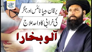 Yarkan ,Hepatitis Aur Jigar Ki Kharabi Ka Wahid Hal Alu Bukhara | Hepatitis Treatment