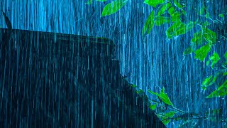 Rain Sounds in The Forest - Relieve Stress with Heavy Rain on Metal at Night - Relaxing Sounds