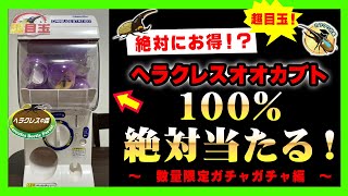 【絶対に生体が当たる！】ヘラクレスオオカブトが100%当たるガチャガチャをインセクトディスカバリーでやります！