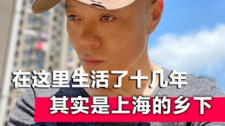 我生活了十来年的上海浦江镇，其实就是上海的乡下