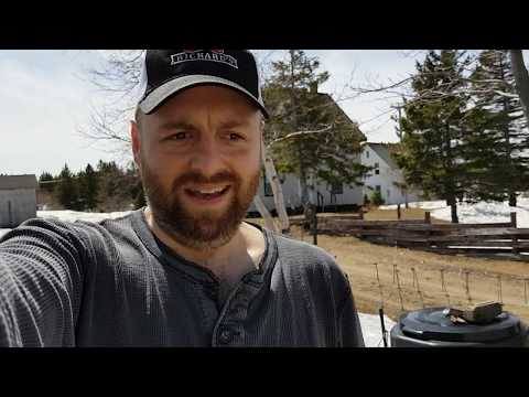 Getting into the greenhouse after winter Getting into the greenhouse after winter