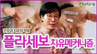 건강과 치유의 비밀 중 플라세보 치유 메커니즘