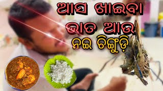 ନଇ ଚିଙ୍ଗୁଡ଼ି ତରକାରୀ  ( Prawn curry ) Food Vlog Ep-1