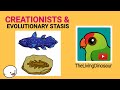 Creationists and Evolutionary Stasis. TheLivingDinosaur.