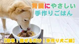 【簡単手作り犬ご飯】腎臓にやさしい手作りごはん【帝塚山ハウンドカム】