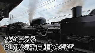 【秩父鉄道】SL(蒸気機関車)の汽笛は体が震えますね！