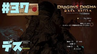 仕事辞めたので黒呪島生活。#37【ドラゴンズドグマダークアリズン】【DDDA】