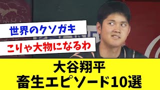 【畜生】大谷翔平さん、先輩も後輩も容赦なく煽りまくるwww