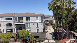 Arioso Apartments in Cupertino - 1Bed1Bath (A1 Floorplan) 534 sq.ft.