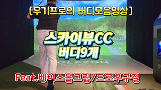 스카이뷰CC 버디9개 모음